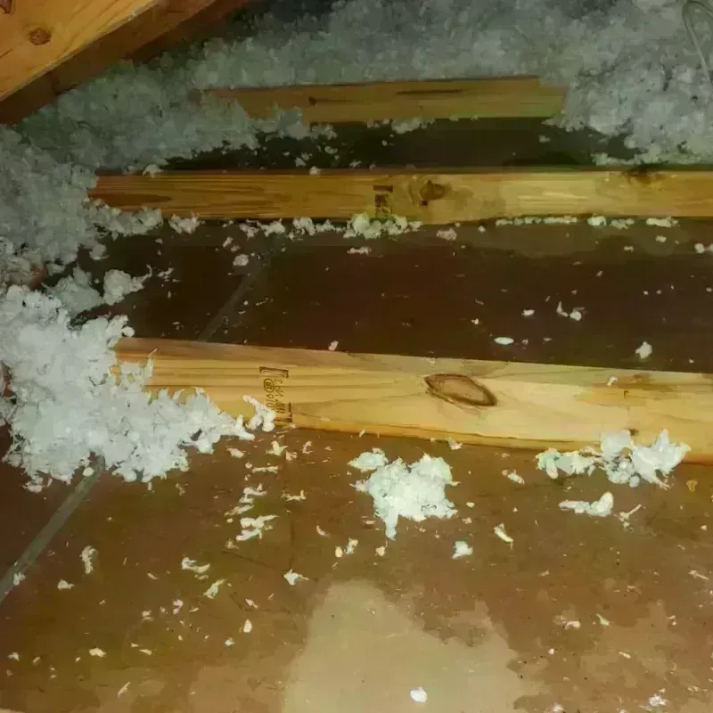 Attic Water Damage in Springville, AL