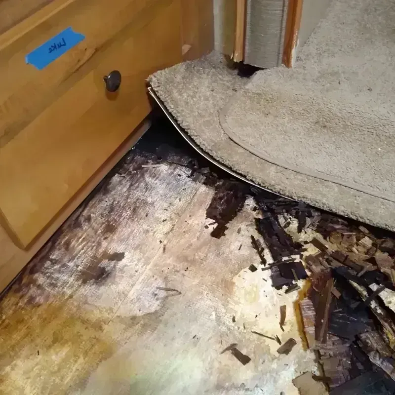 Wood Floor Water Damage in Springville, AL